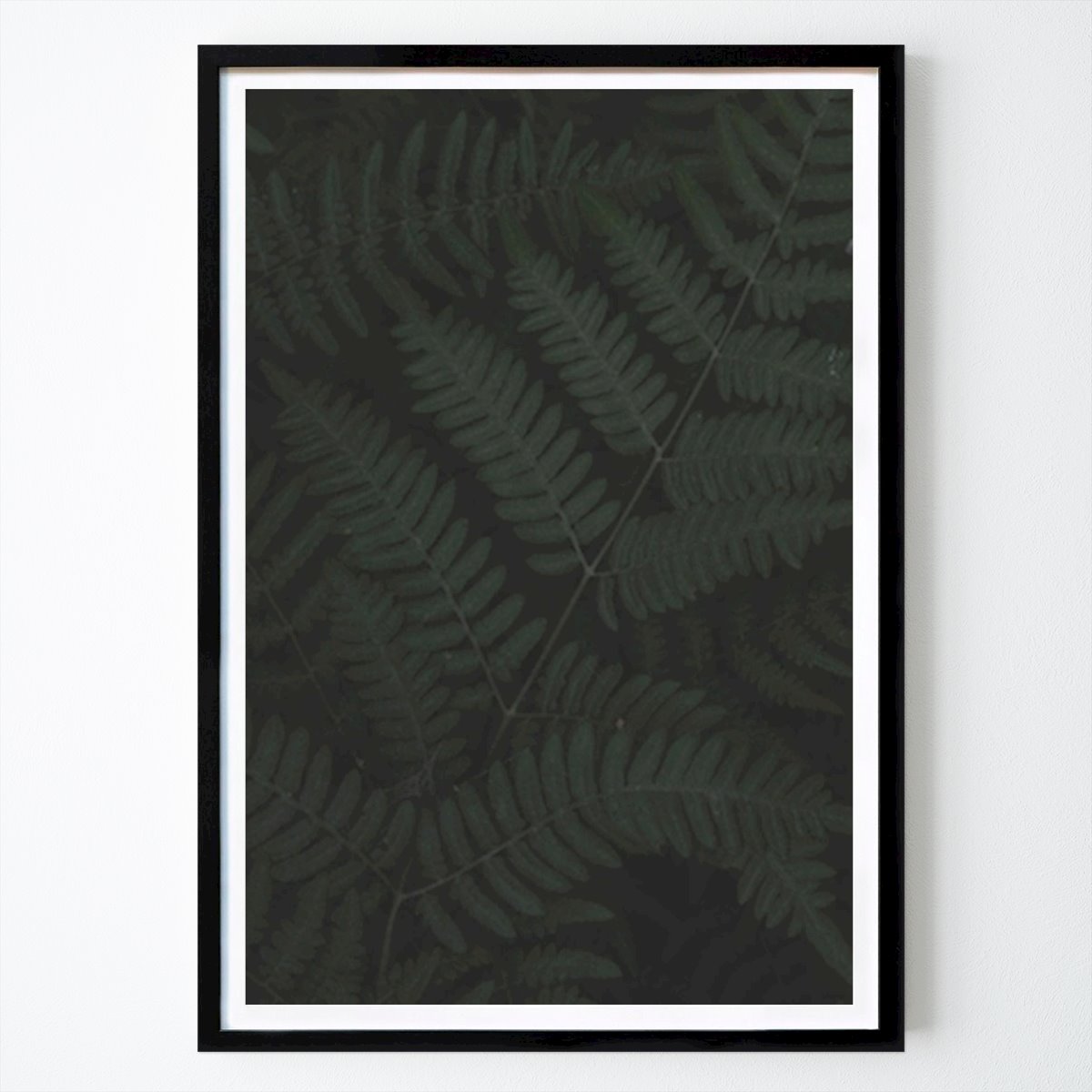 Stockholm Poster: Mysterious Fern by Denise Taylor