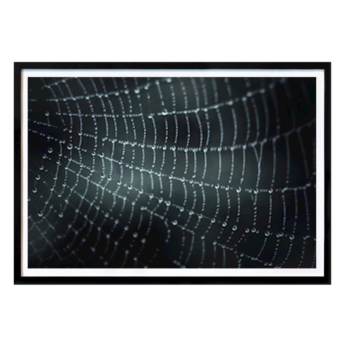 Black & White Poster: Like diamonds by Jenni Apajalahti