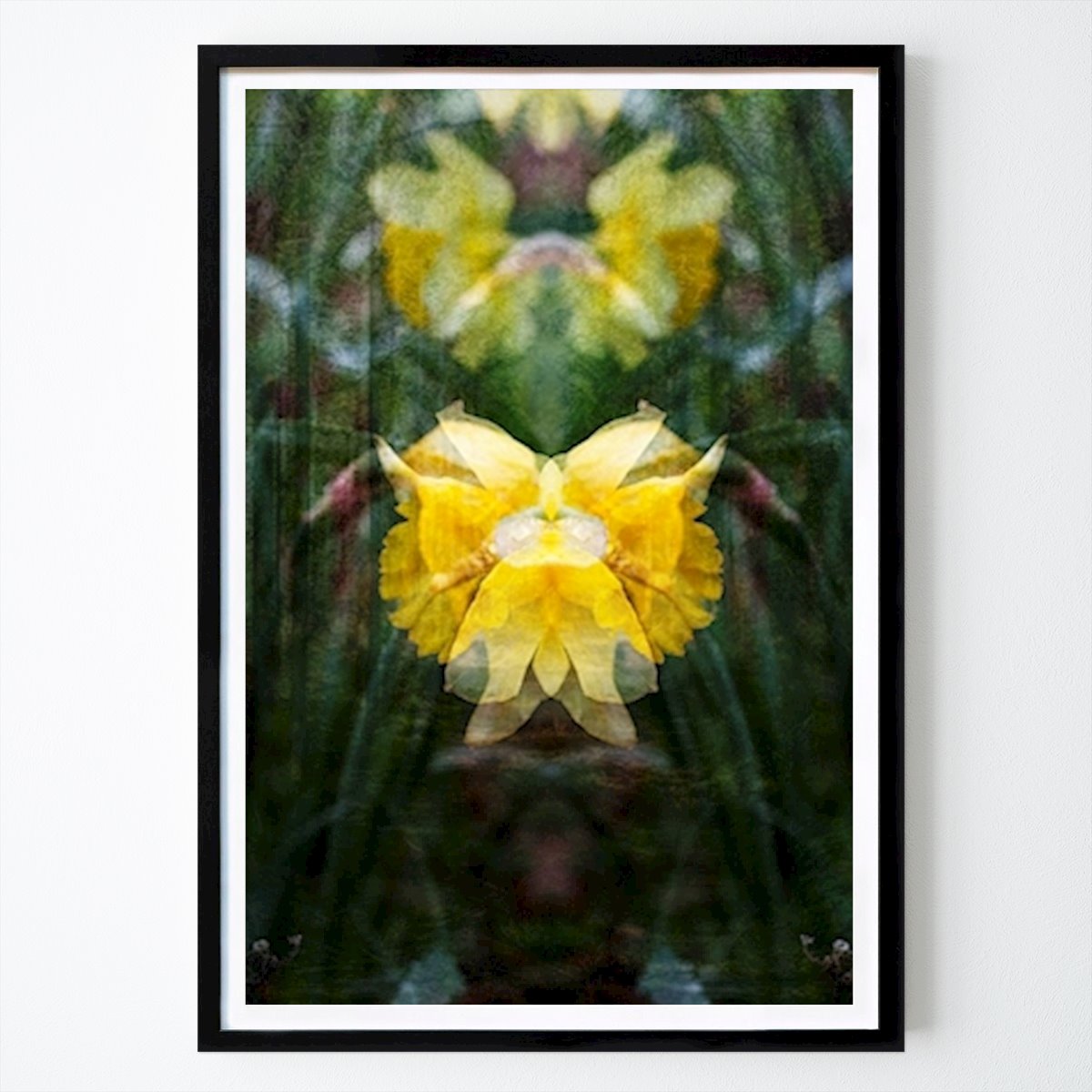 Flores & Plantas Póster: Narciso de William Sahlin