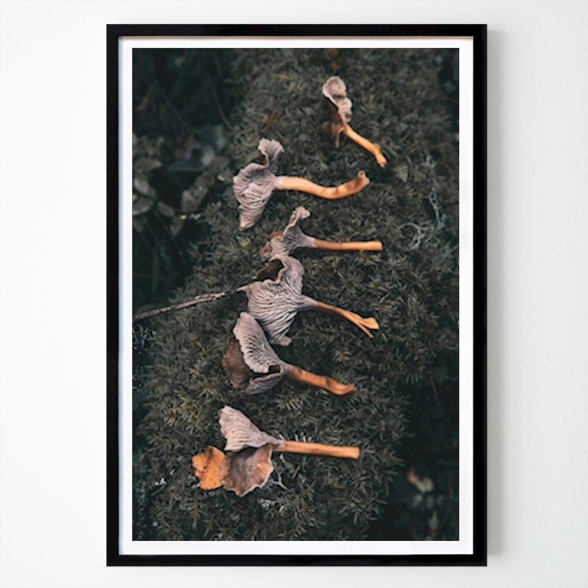 Botanical Poster: Shapes Of The Forest by Tina Wahlström