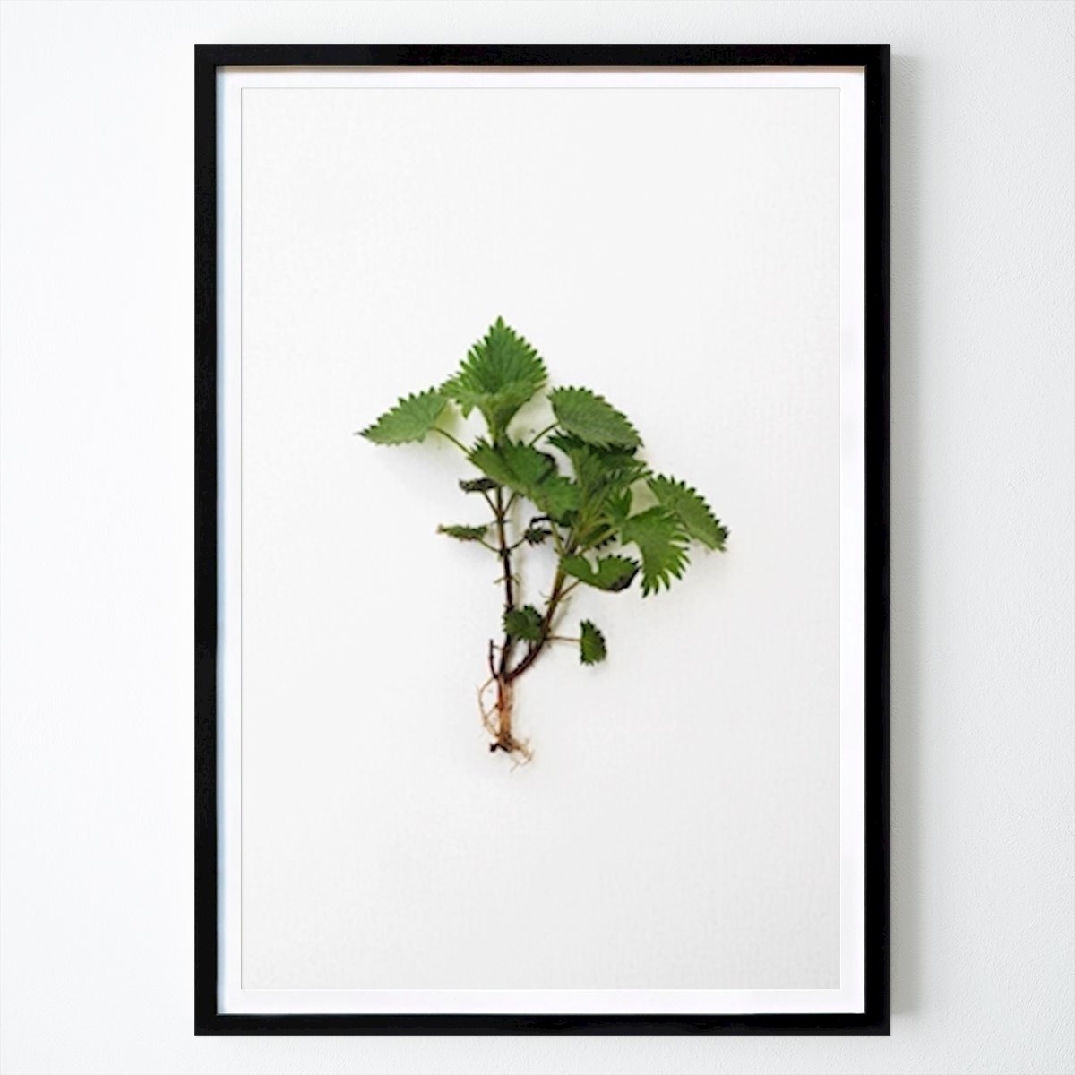 Cuisines Affiche: Ortie par Emilia Blom