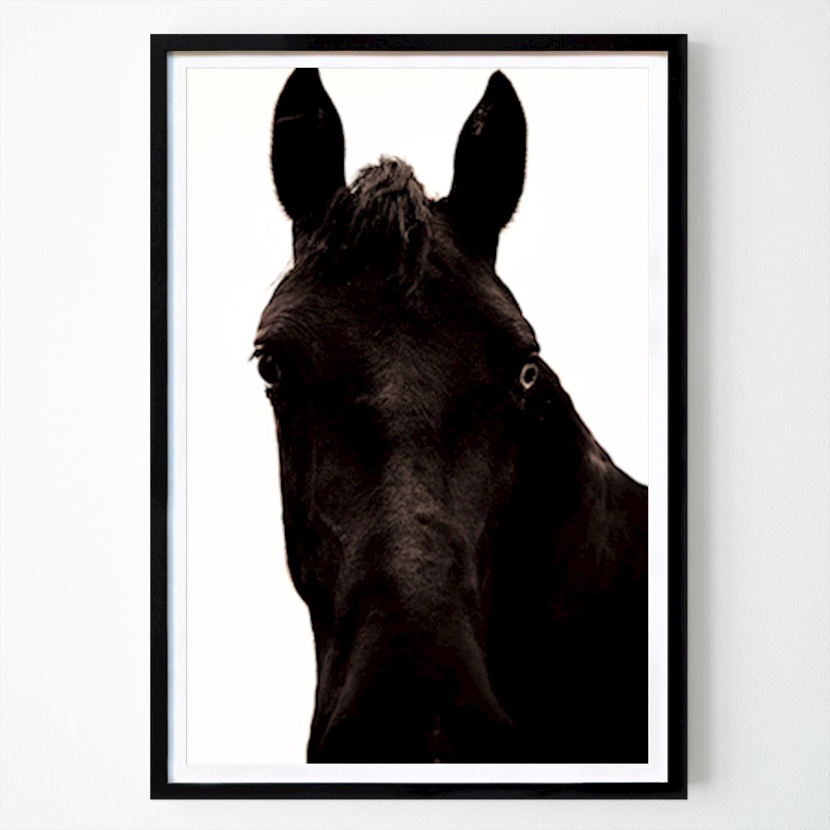 Animals Poster: Dark horse by Amanda Hansson