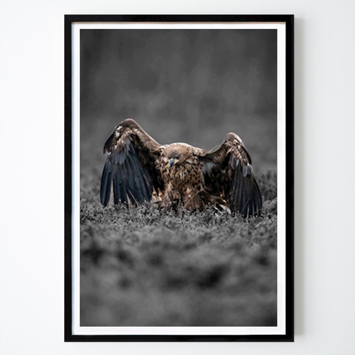 Villes & Pays Affiche: Aigle débarquant par Dennis Carletun Klebom