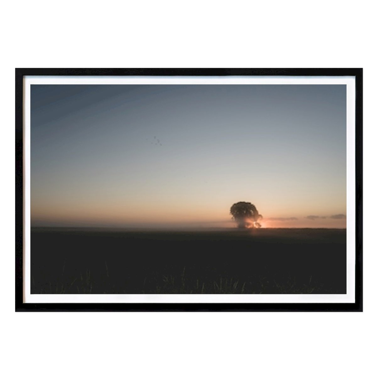 Sweden Nature Poster: Sunrise by Mario Röhlich
