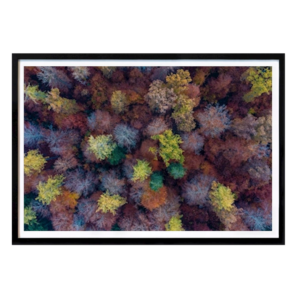 Villes & Pays Affiche: Forêt en automne par Dieterich Fotografie