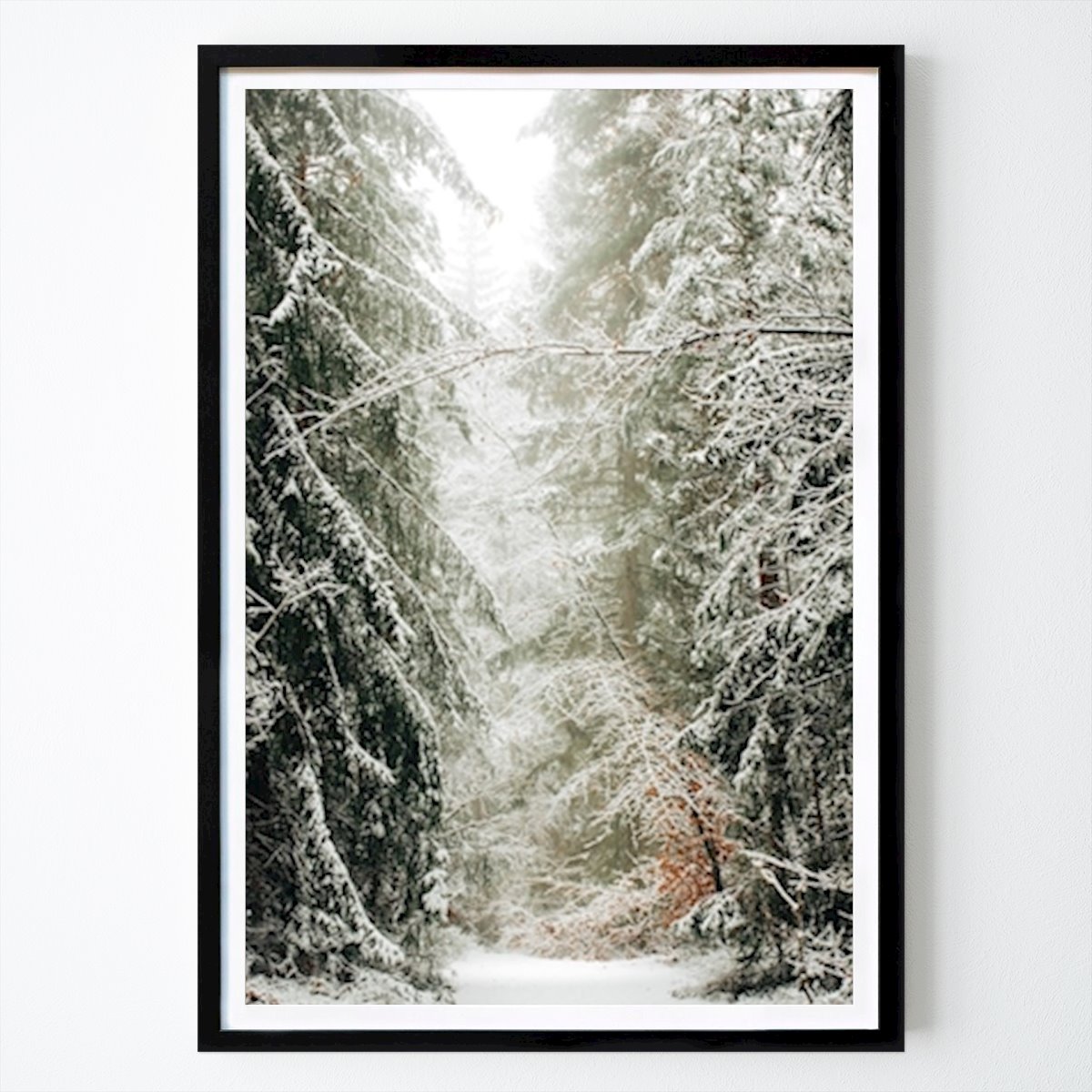Nature Poster: Winter Forest by Henrik Viklund