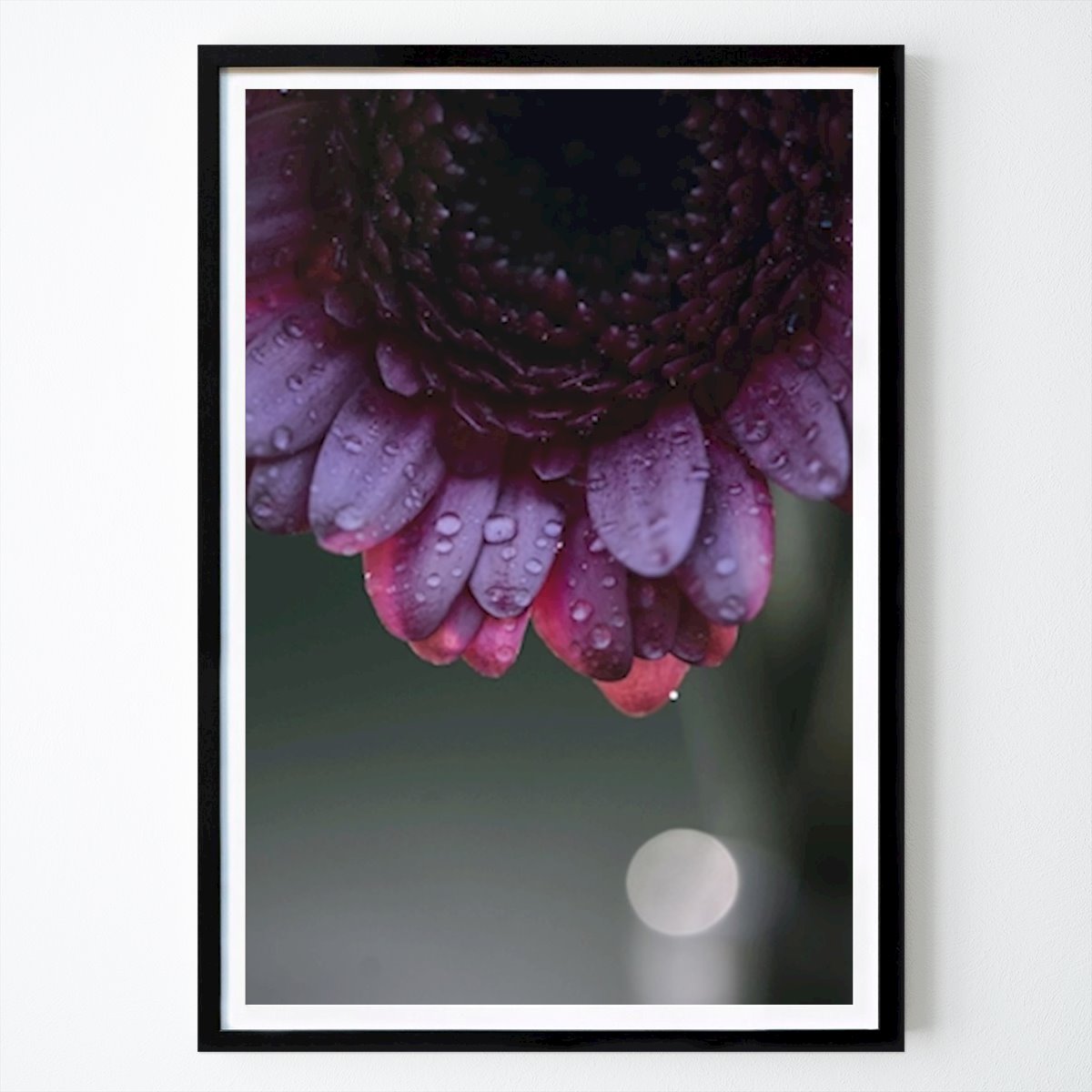 Botanical Poster: Purple flower by Sandra