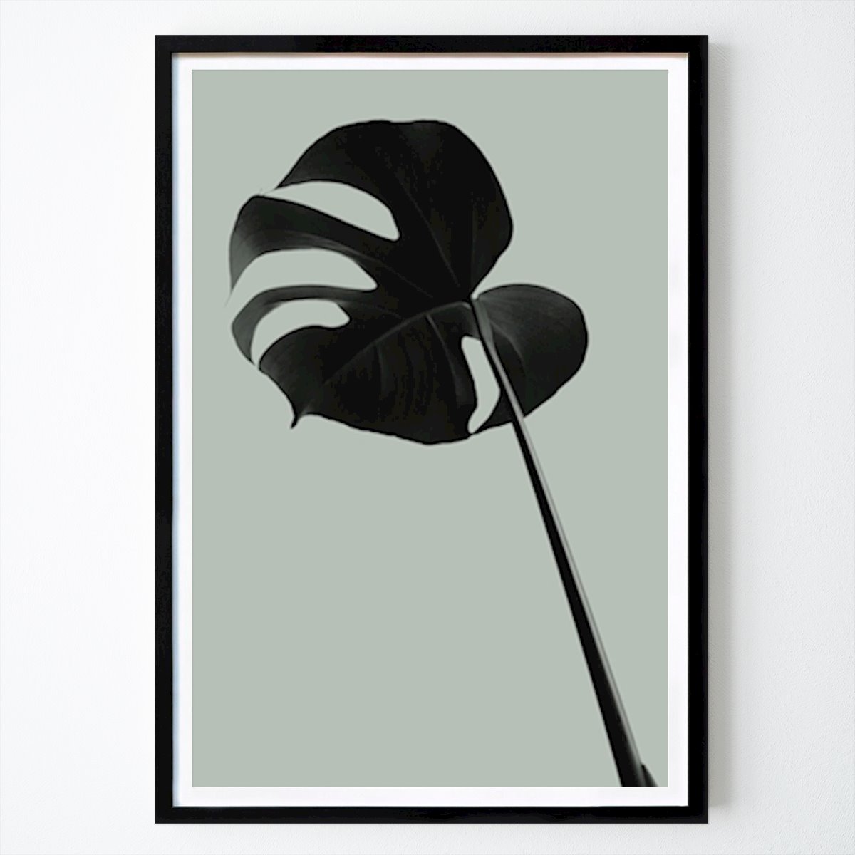 Fiori & Piante Poster: Alzavola Monstera 6 di Studio One