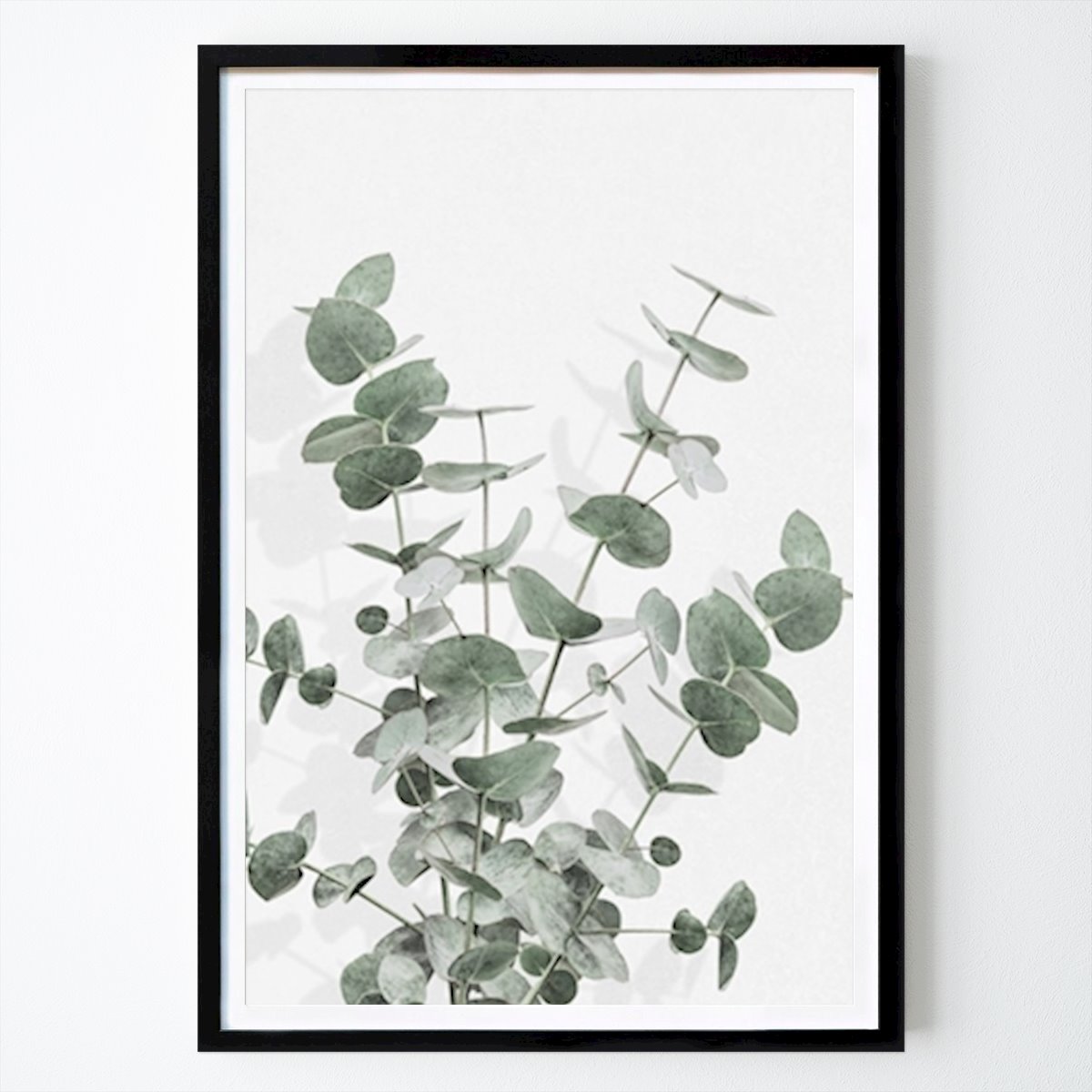 Botanical Poster: Eucalyptus Creative 16 by Studio One