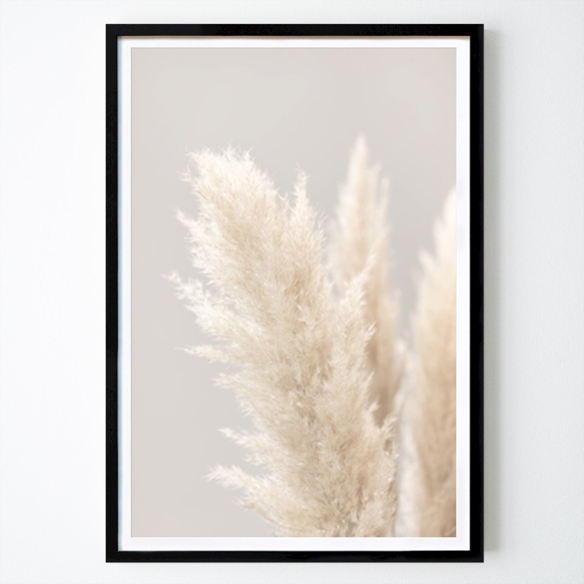 Fleurs & Plantes Affiche: Pampasgräs 3 par Studio One