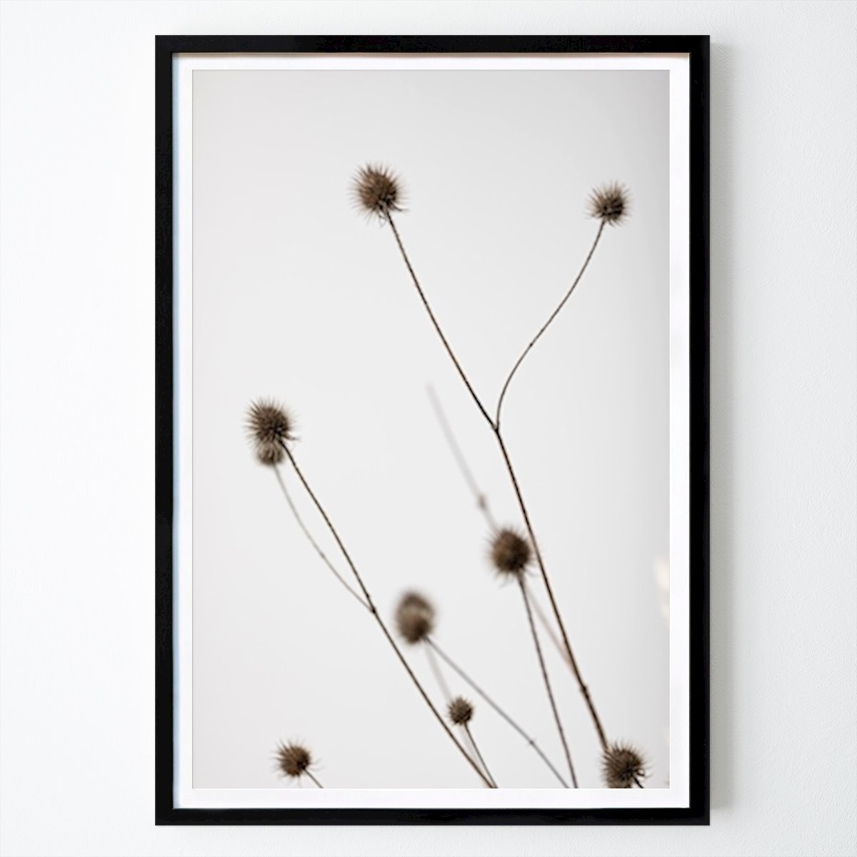 Fiori & Piante Poster: Tistel 4 di Studio One