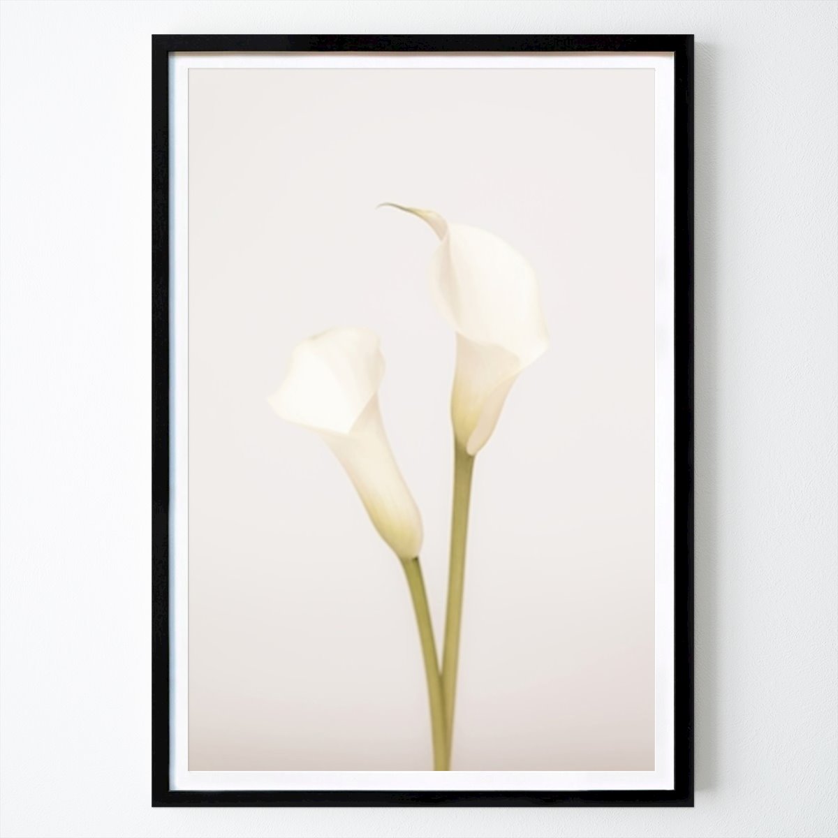 Botanical Poster: White Calla Lily 1 by Studio One