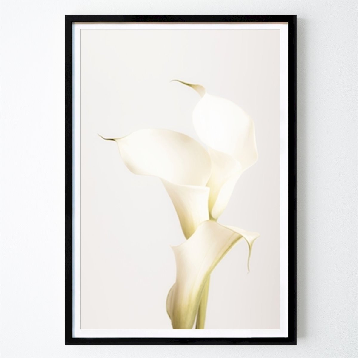 Botanical Poster: White Calla Lily 3 by Studio One
