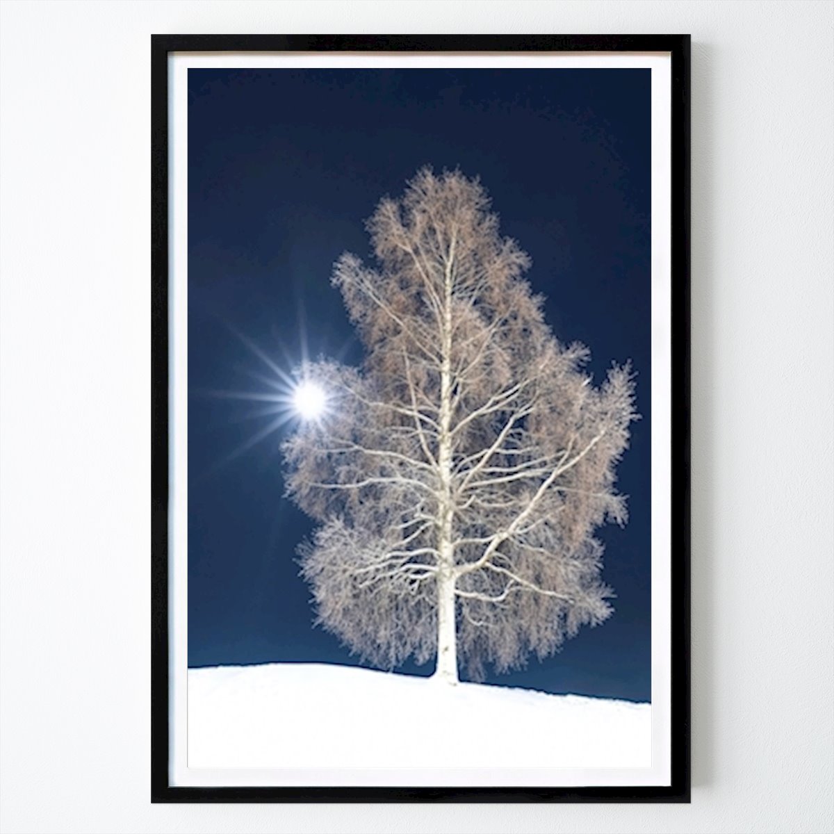 Nature Poster: Frosty Birch in Moonlight by Ulf Asplund