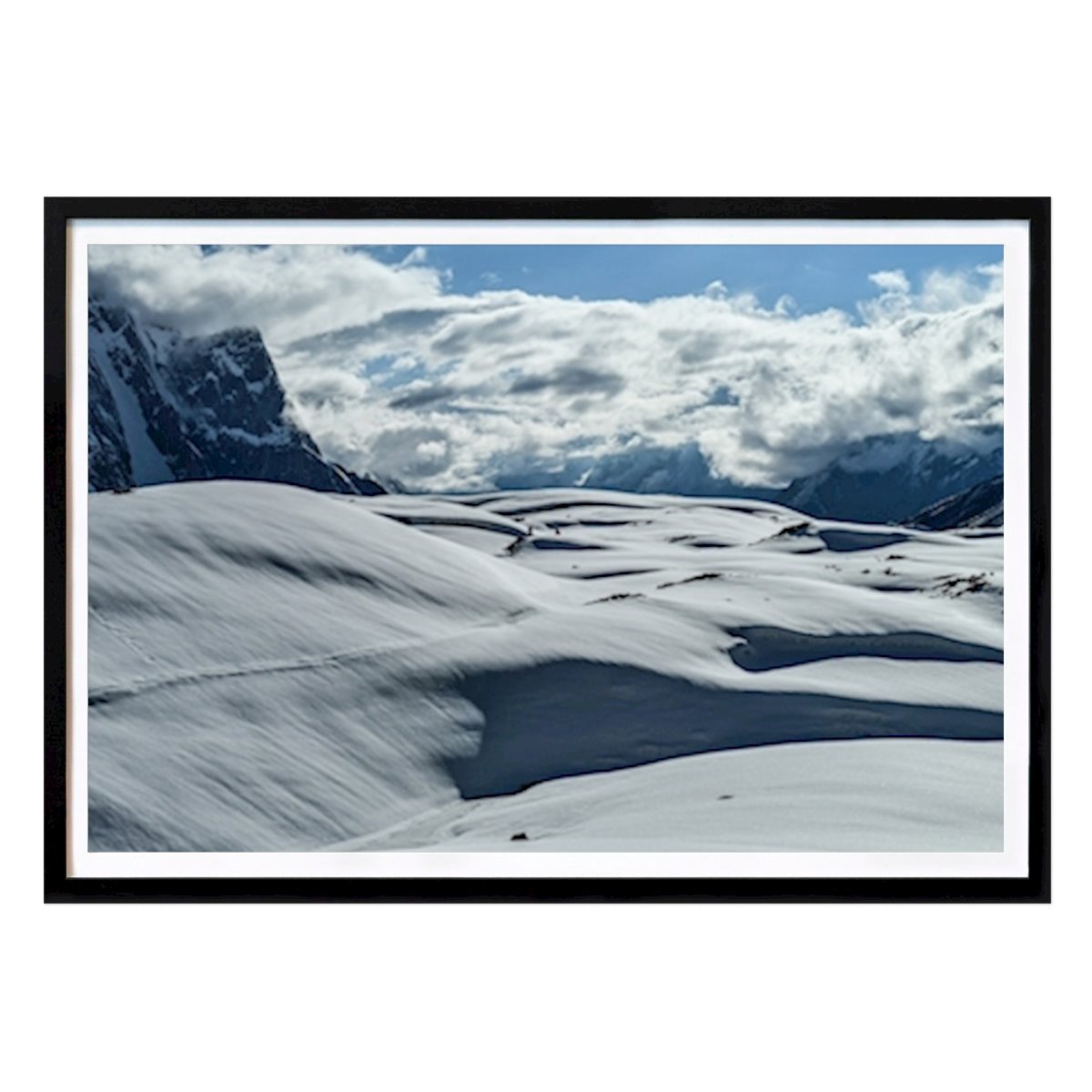 Animals Poster: Concordiaplace by Holger Weigelt