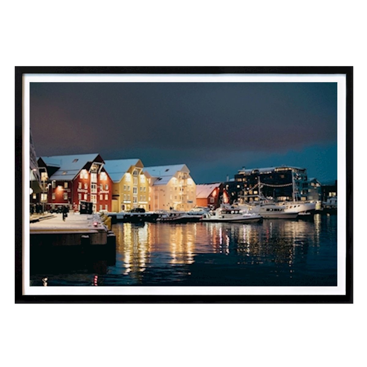 Nature Poster: Night Life by Julia Bachmann