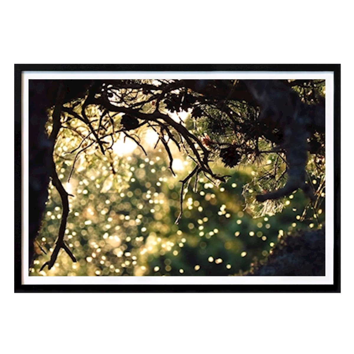 Natura Poster: Vola al tramonto di Johanna Dias Saraiva