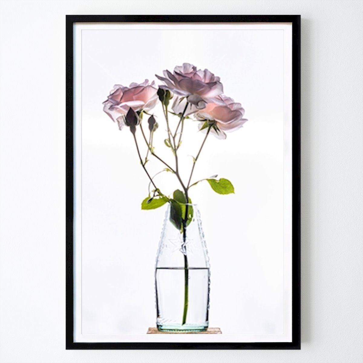 Fiori & Piante Poster: Rose del giardino di Martin Handlos