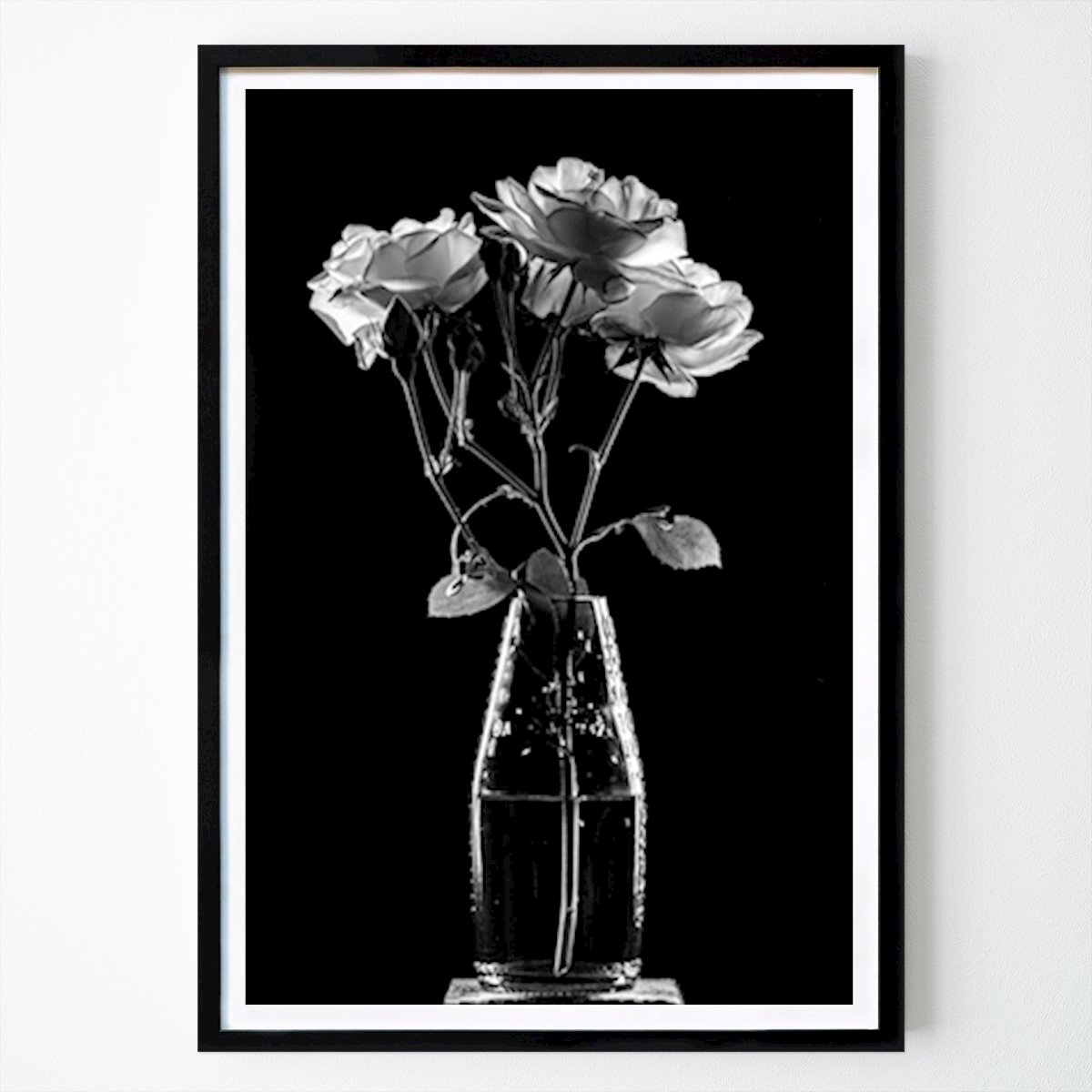 Bianco e nero Poster: Rose del giardino di Martin Handlos