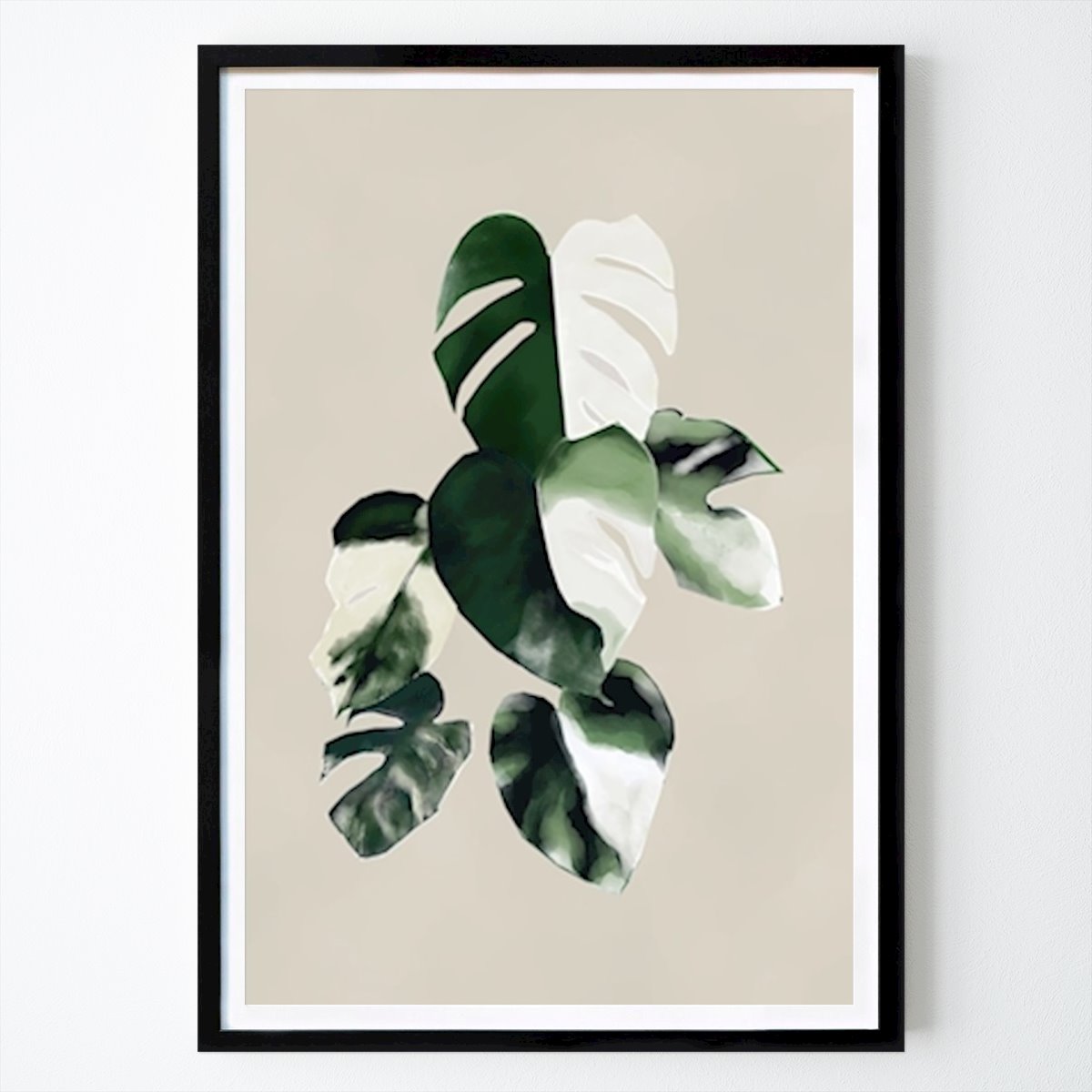USA Poster: Tweekleurige Monstera van Alisa Knöß