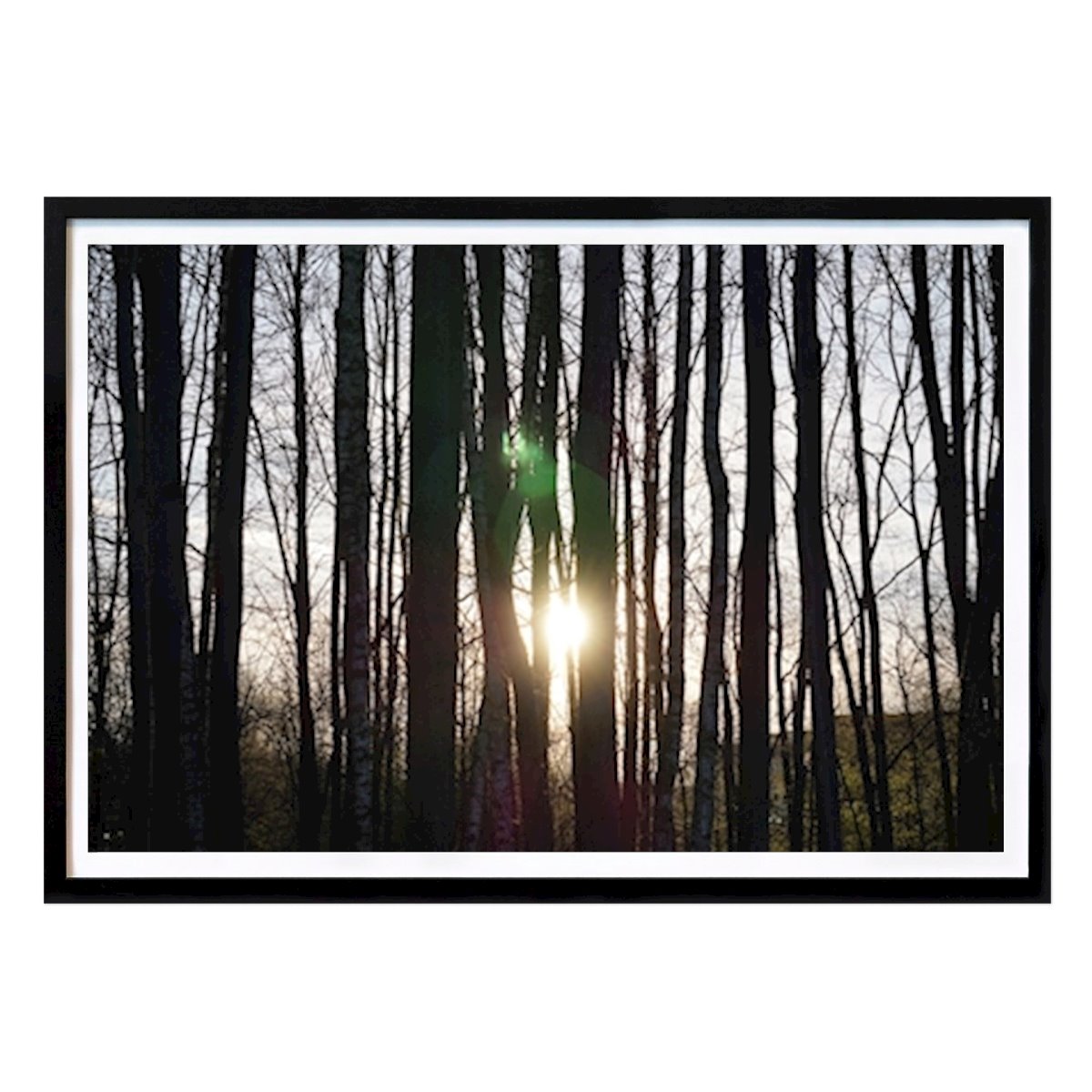 Naturaleza Póster: Buenos días Naturaleza de FeelGood Prints