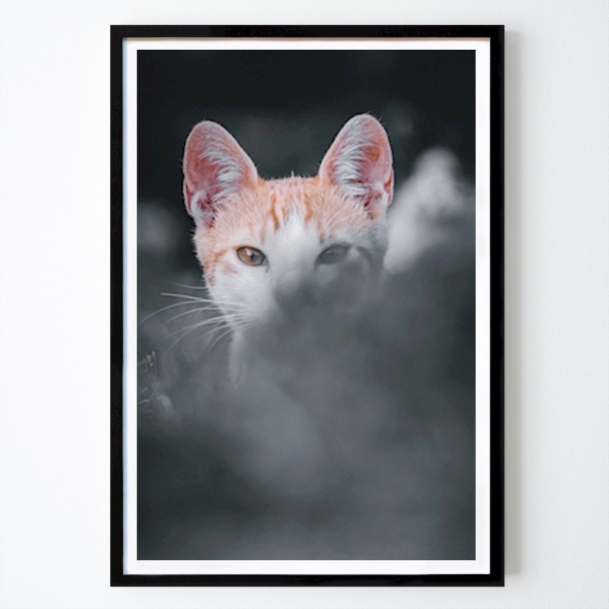 Djur Poster: Baby katt av Bojan Jagodic