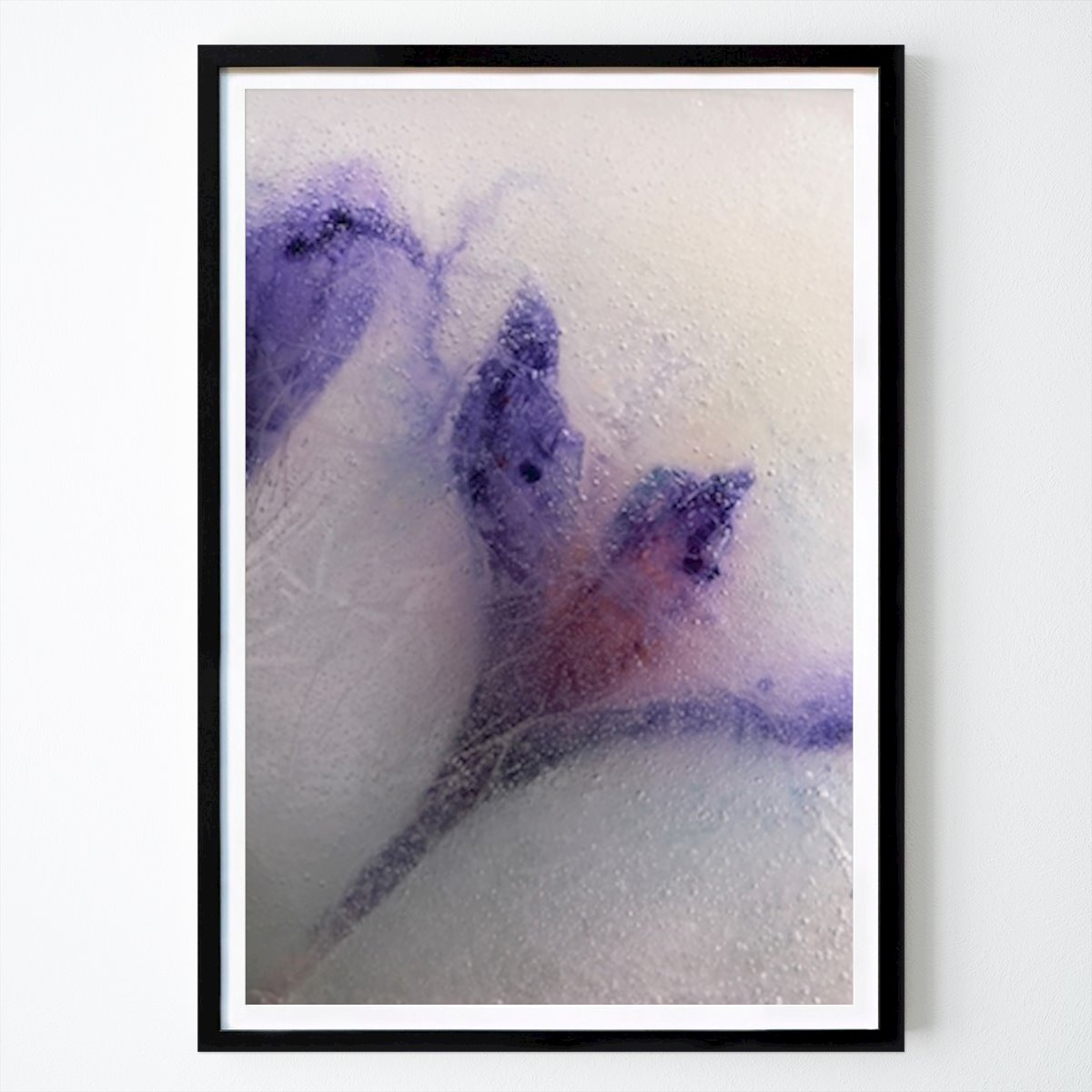 Botanical Poster: Crocus by Rebecka & Filip