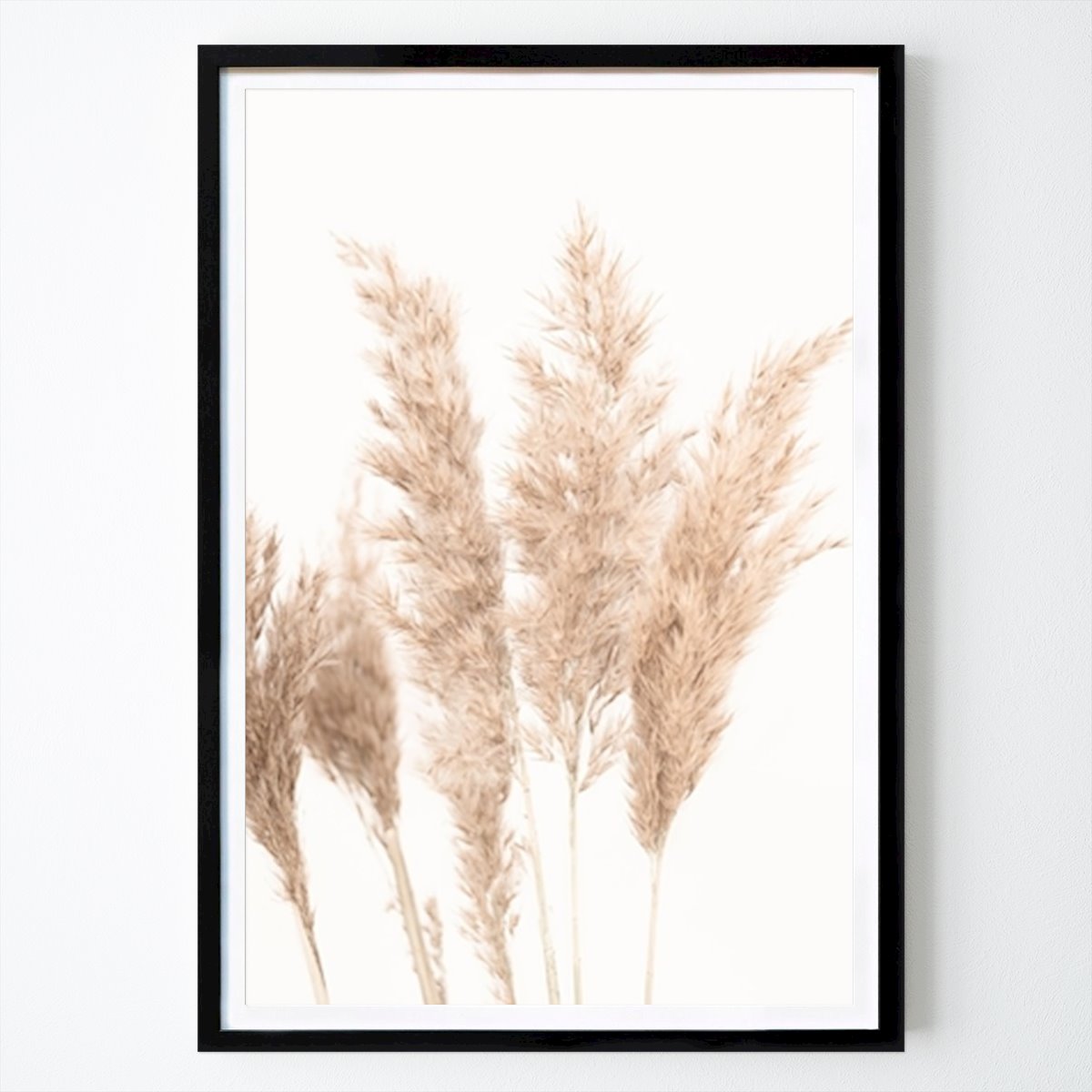 Botanical Poster: Dried Pampas by Kathrin Pienaar
