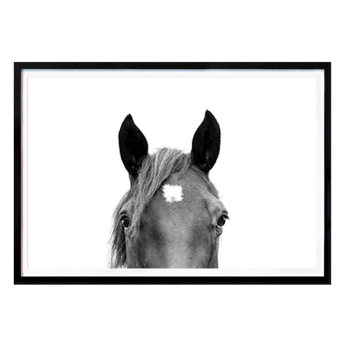Noir et Blanc Affiche: Peeking Horse à BW par Kathrin Pienaar