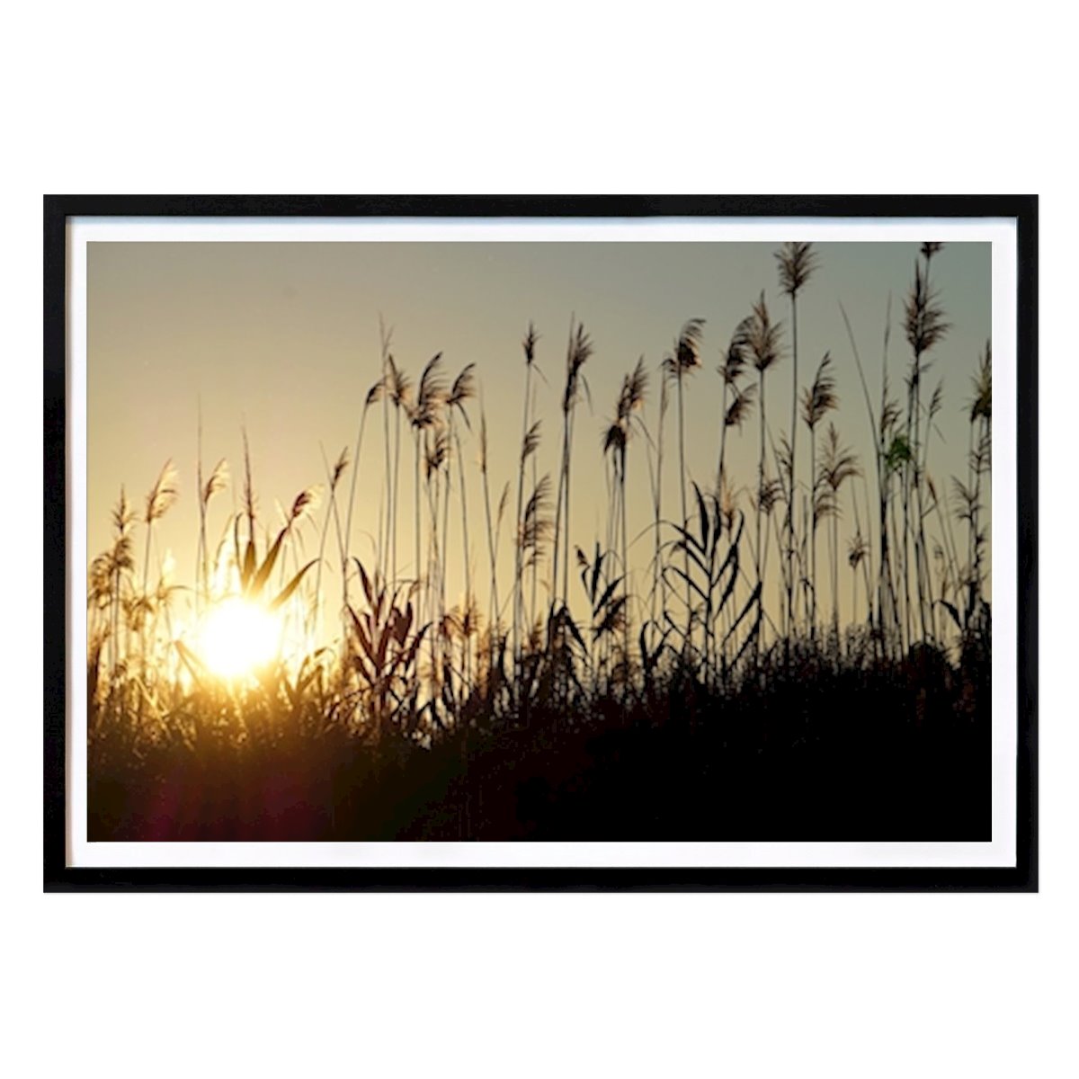 Estilo de vida Póster: Atardecer de verano de FeelGood Prints