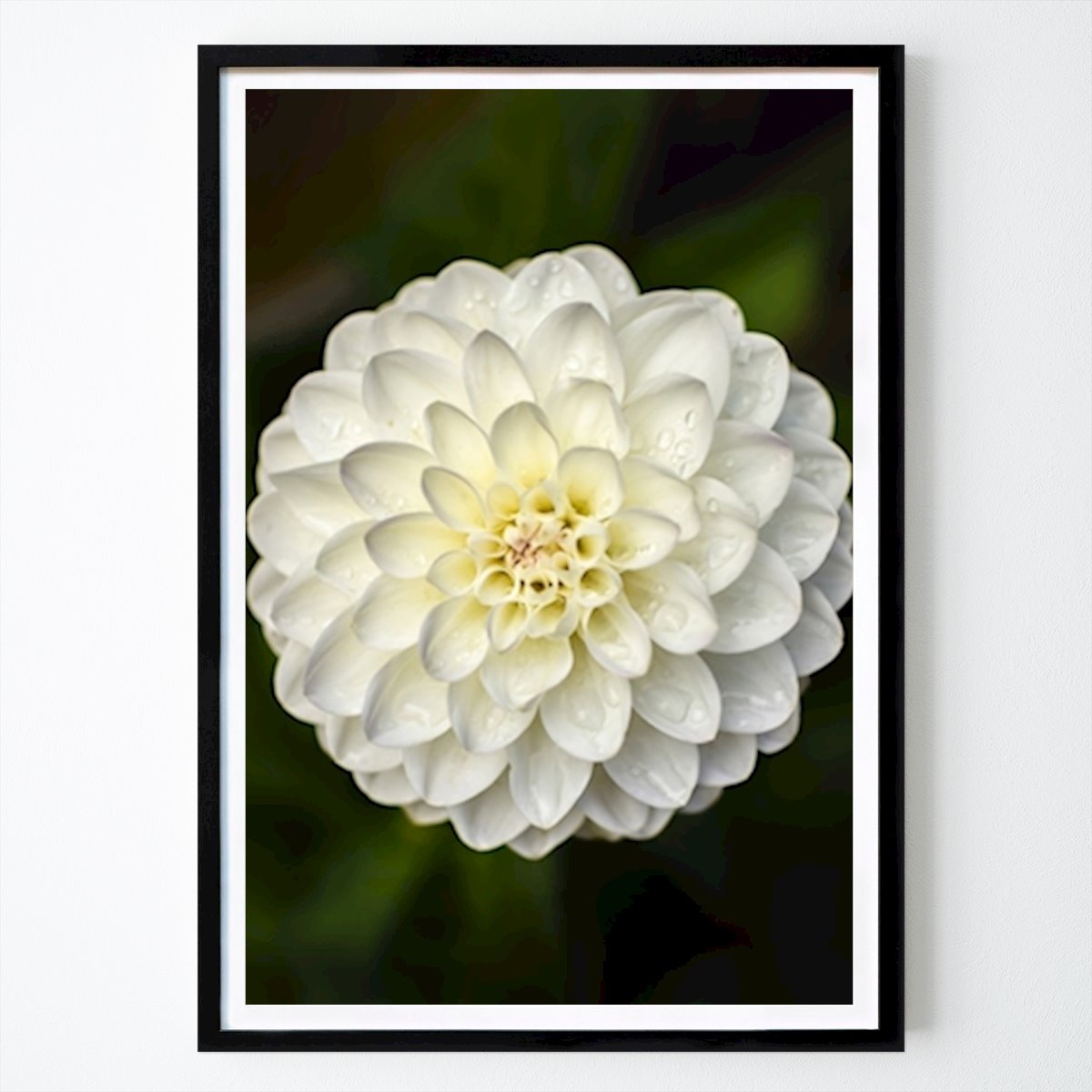 Estocolmo Póster: Boda Blanca de Linus Bergmark