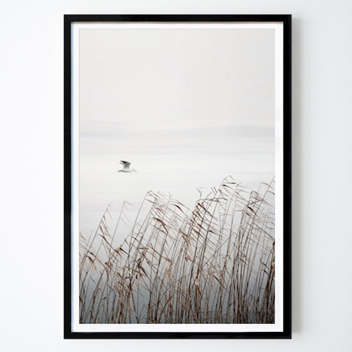Animal Poster: Pássaro sobre o lago de Lena Weisbek