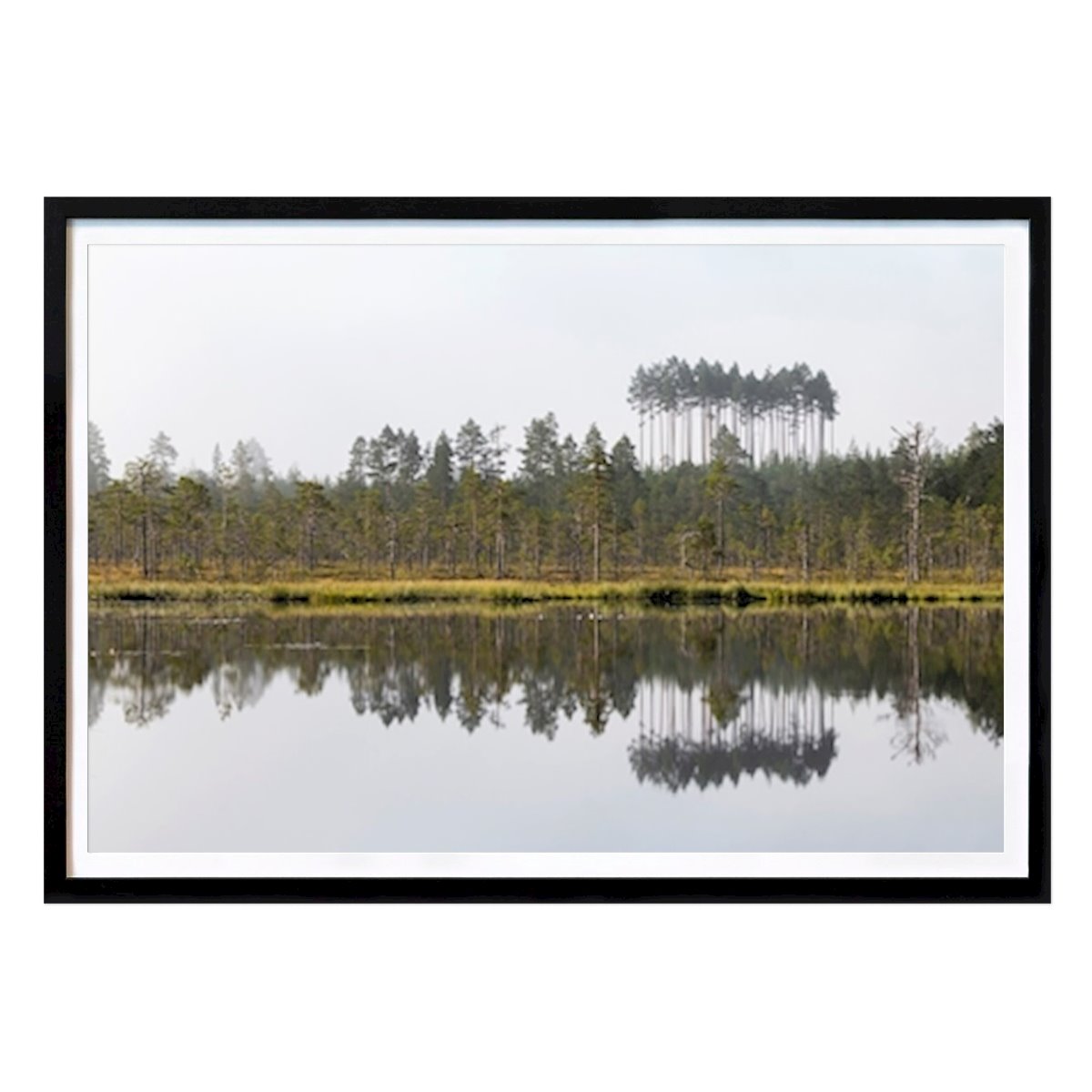 Natur Plakat: Spejl blank tarn av Alfred Björklund