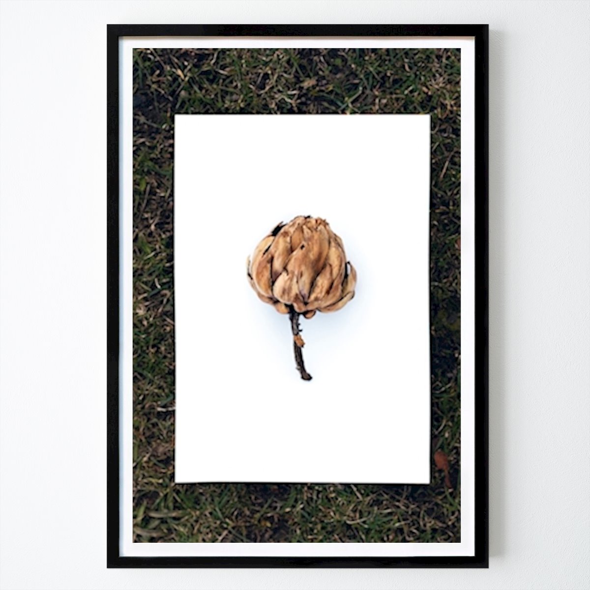 Botanical Poster: Artichoke on a4 by Niclas Fasth