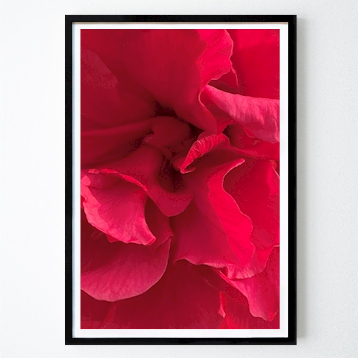 Botanisk Poster: Röd hibiskus av Achim Roth