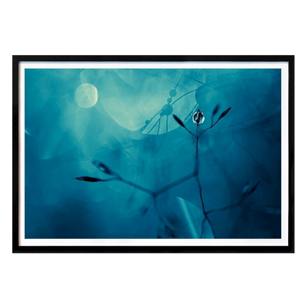 Natur Poster: Tanzende Gräser im Mondlicht von Daniela Beyer