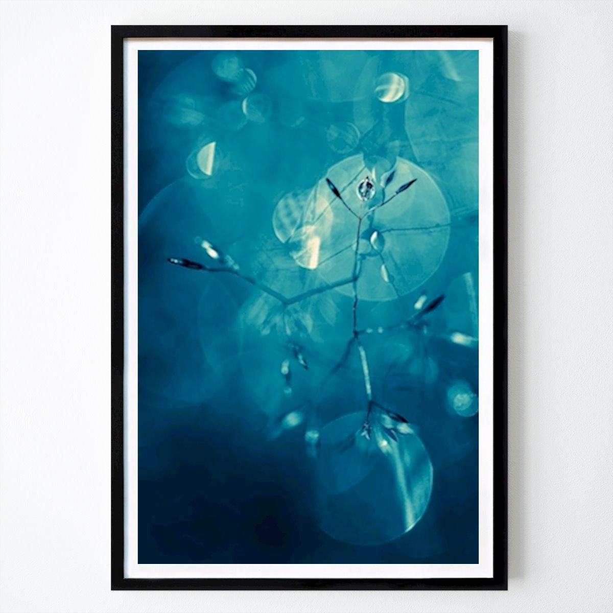 Botanisk Poster: Nattens dans av Daniela Beyer