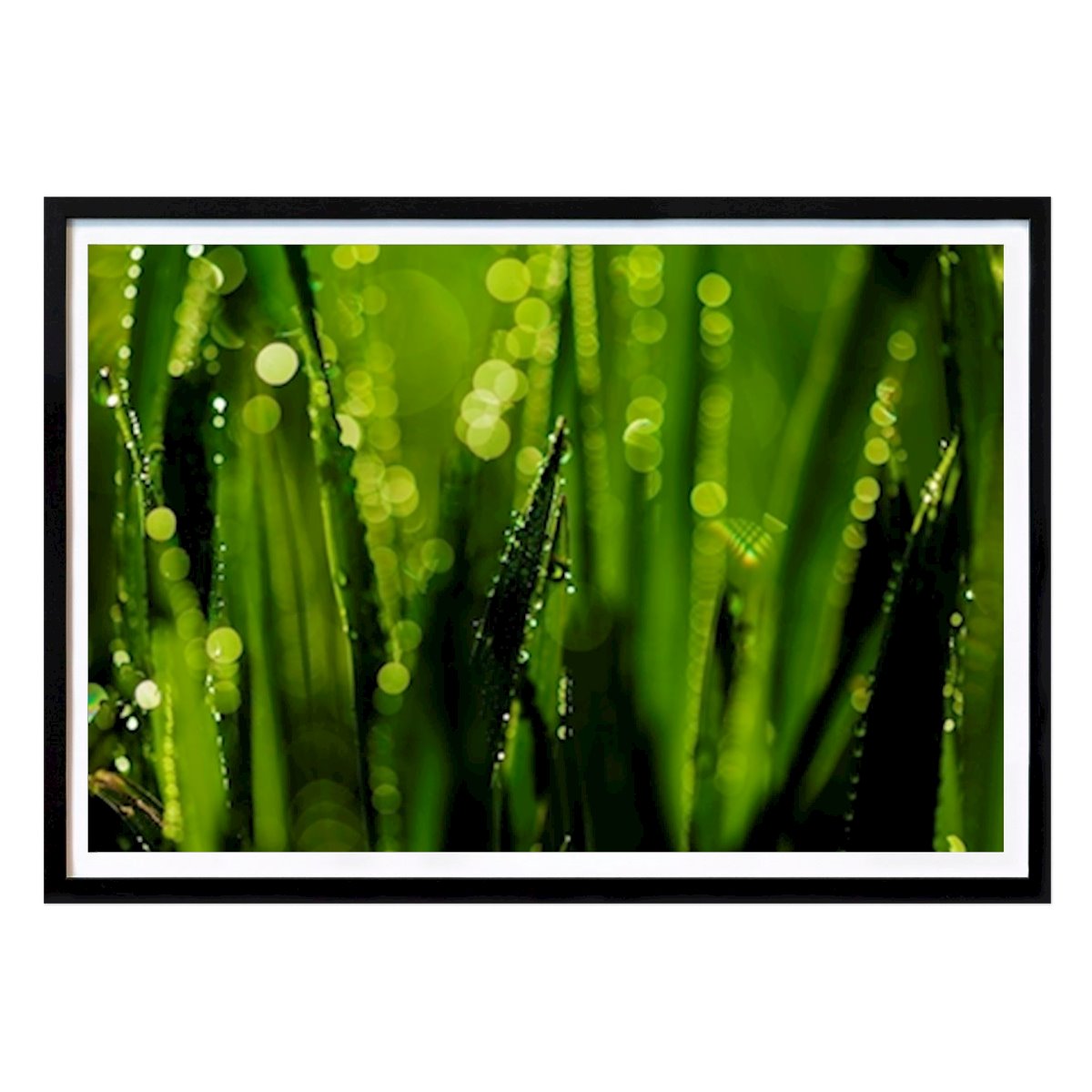 Natureza Poster: Waterdrop de Tino Lehmann