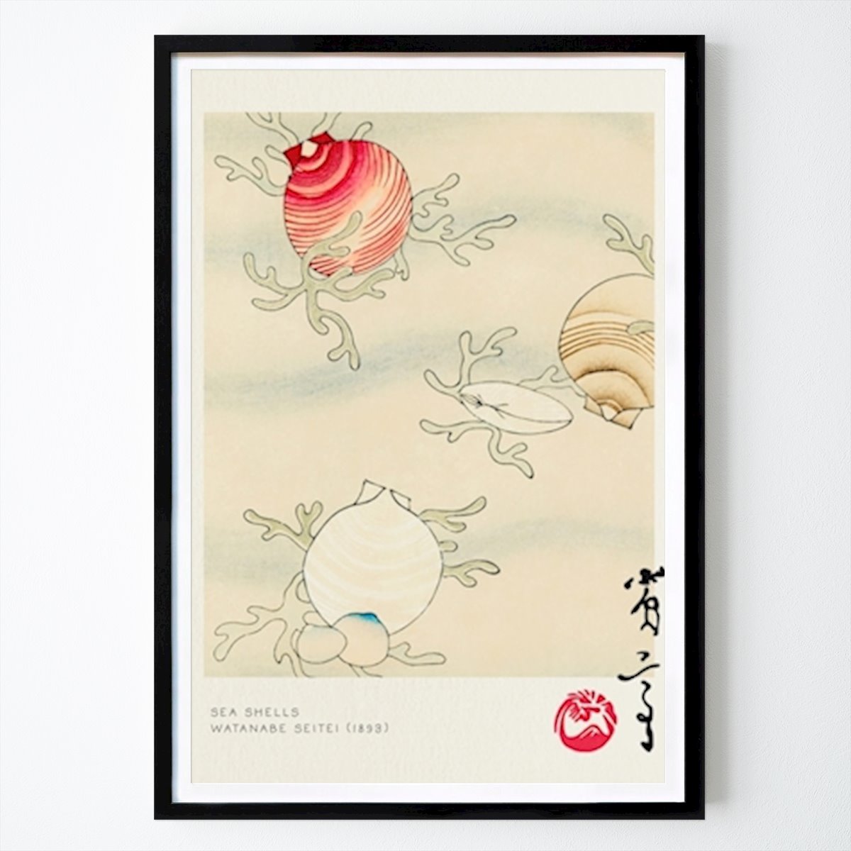 Póster: Conchas Marinas - Watanabe Seitei de Nook Vintage Archive