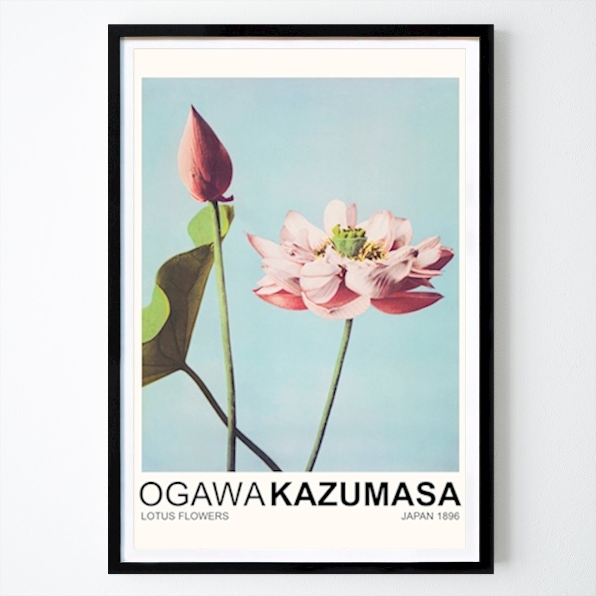 Retro & Vintage Poster: Flores de Lótus de Nook Vintage Archive