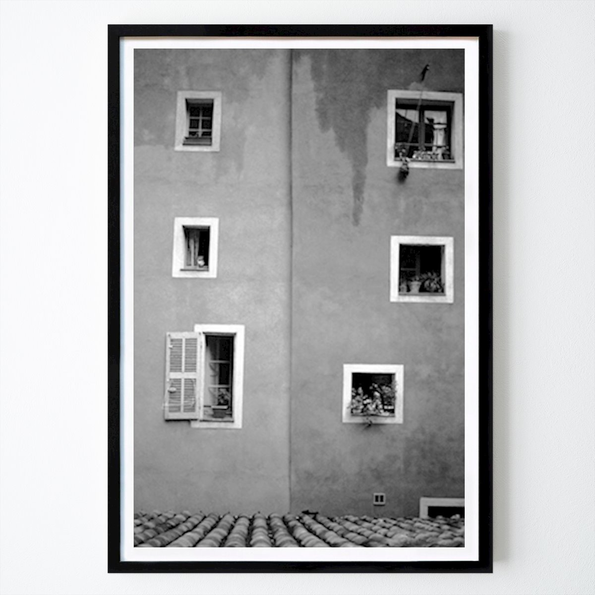 Botanisk Poster: Cotignac av Jon Hertov