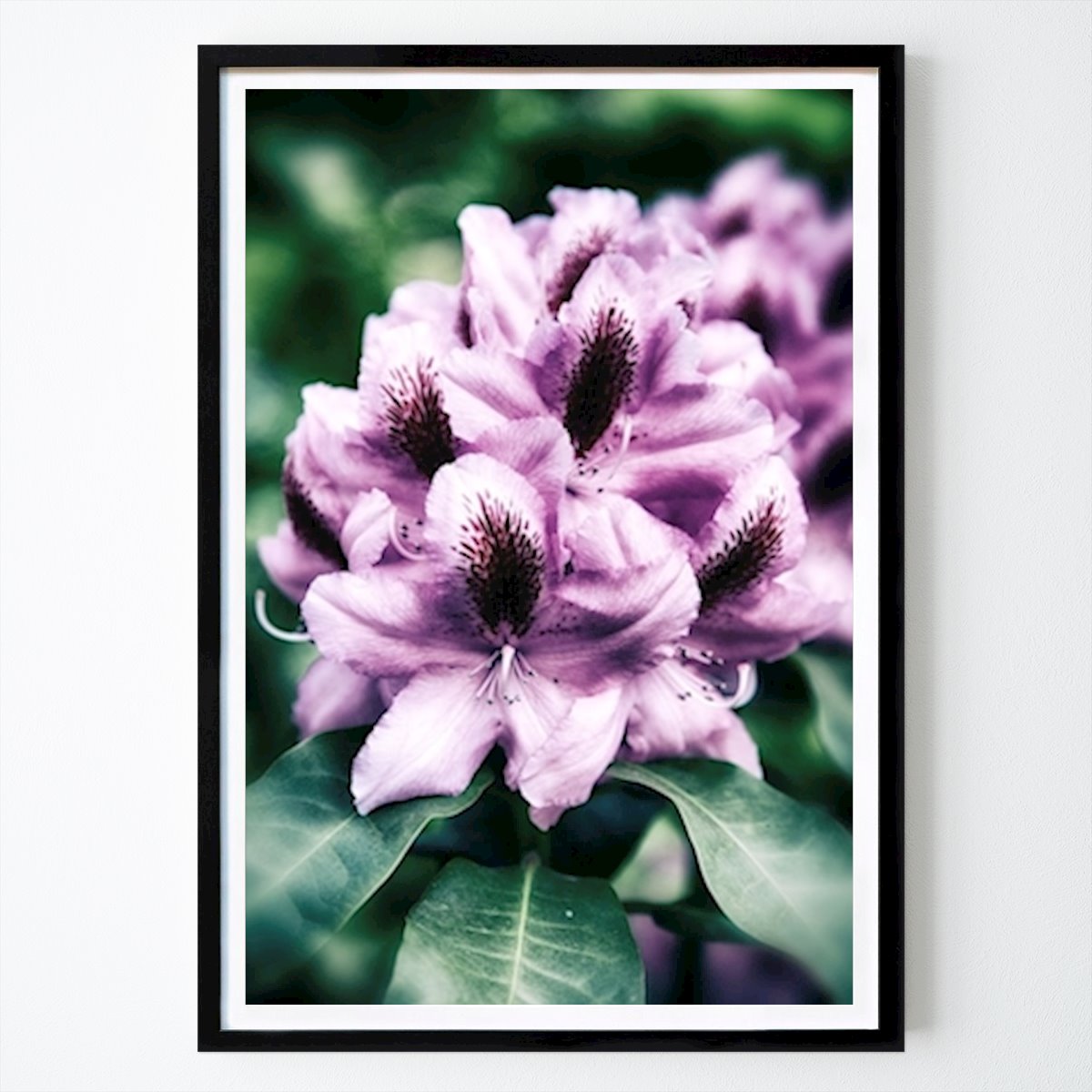 Botanisch Poster: Rododendron van Eva Thordstein