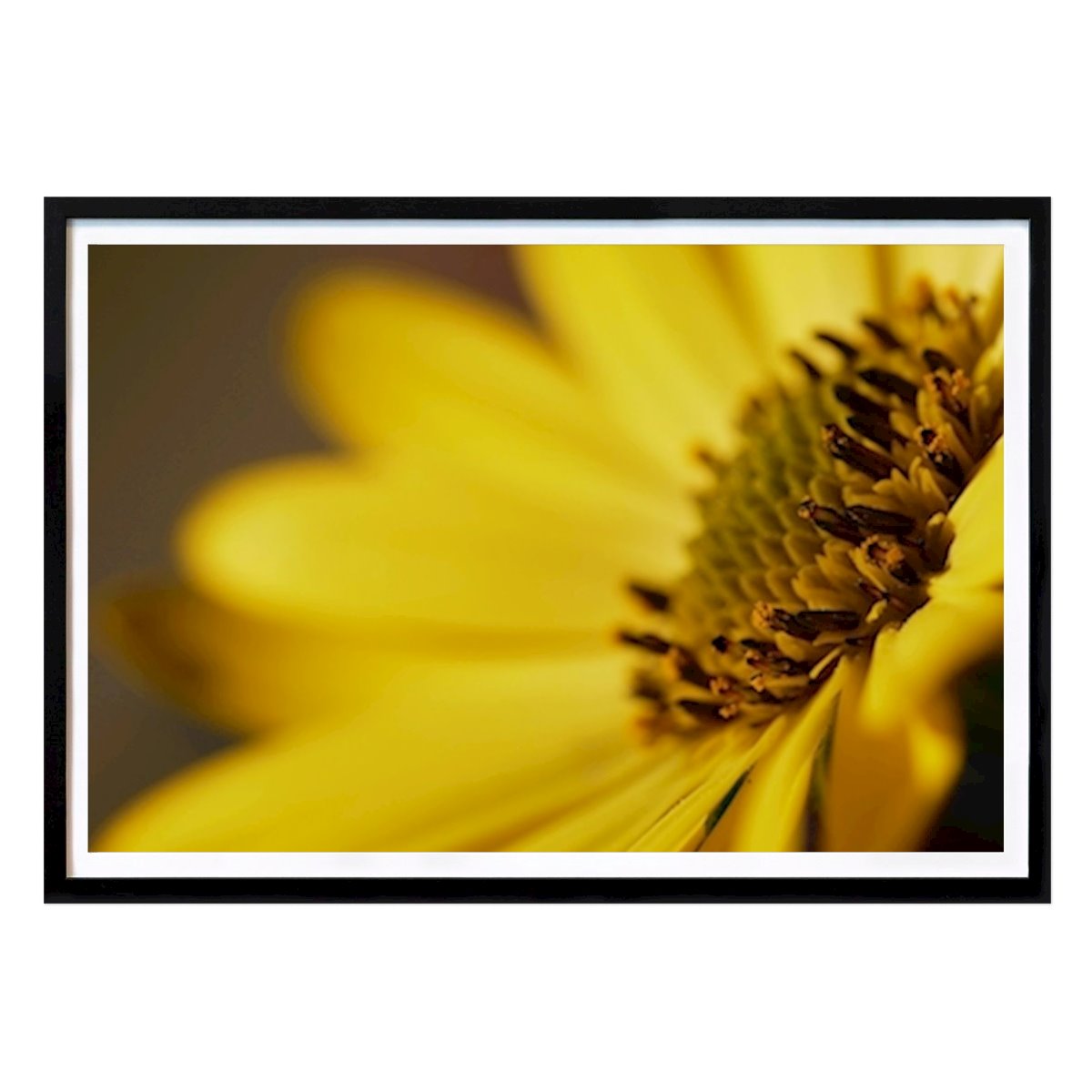 Stockholm Poster: Gyllene gul blomma av Ida Asplund