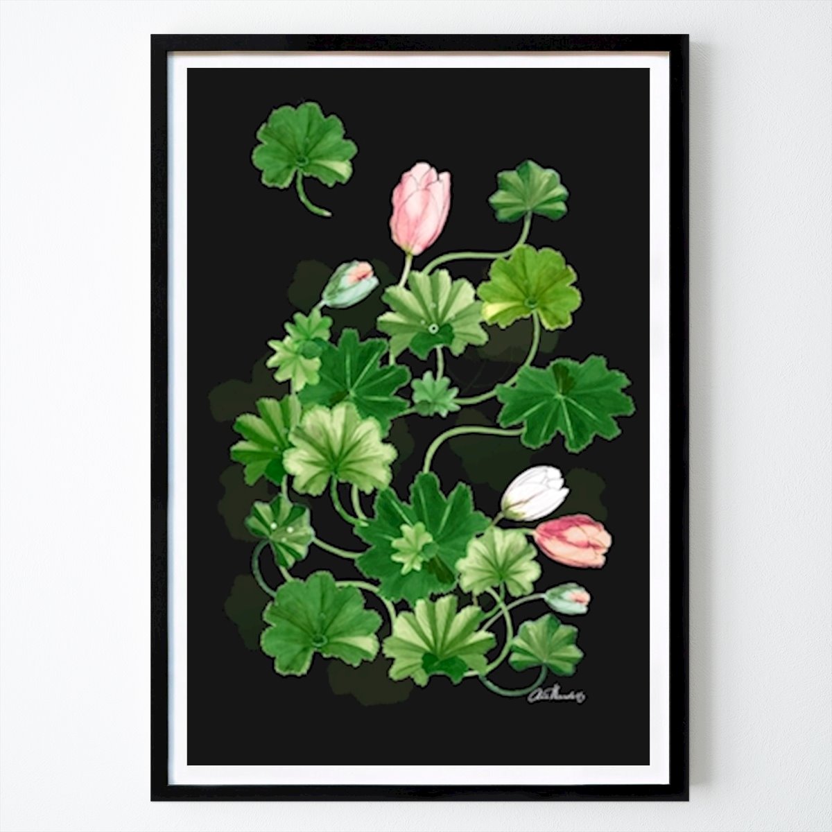 Kukat & Kasvit Juliste: Lady's Mantle &; Tulppaanit, tummat tekijänä Anna Handell