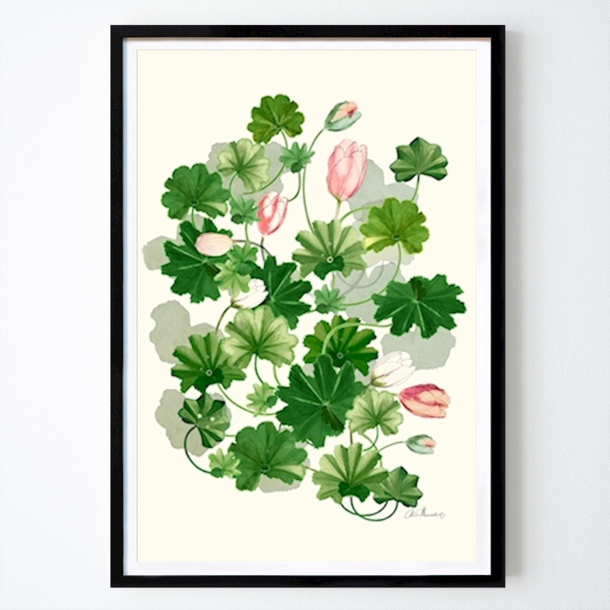 Retro & Vintage Poster: Lady's Mantle & Tulips, white by Anna Handell