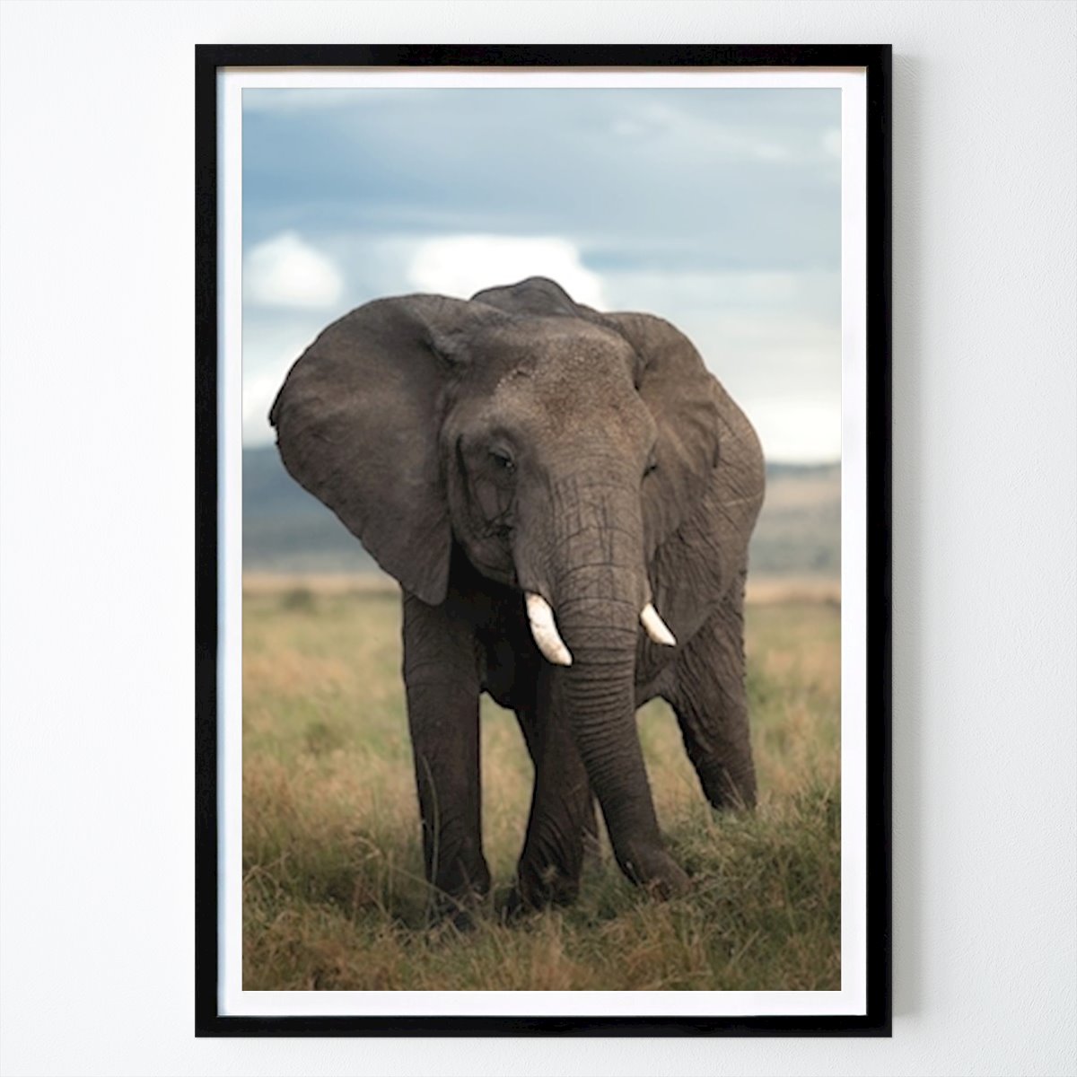 Města & Země Plakát: Slon od Victor Göransson