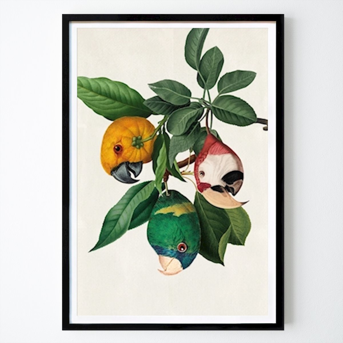 New York Poster: Raccolta di pappagalli di Beto Val