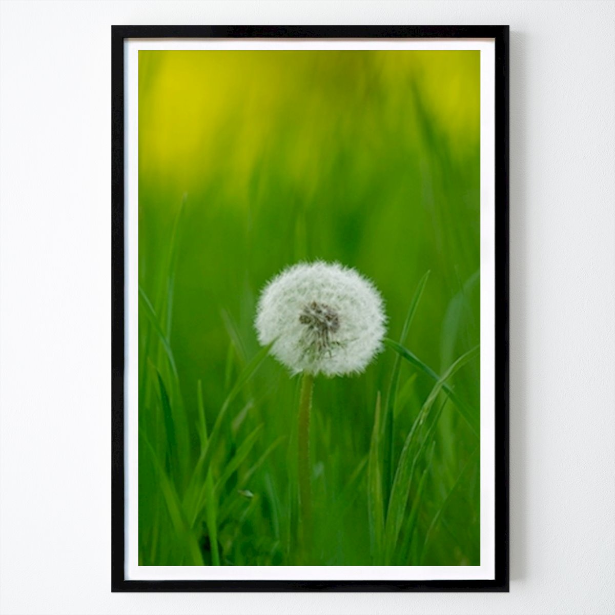 Fiori & Piante Poster: Quando si alza il vento di Aaron Krasniqi