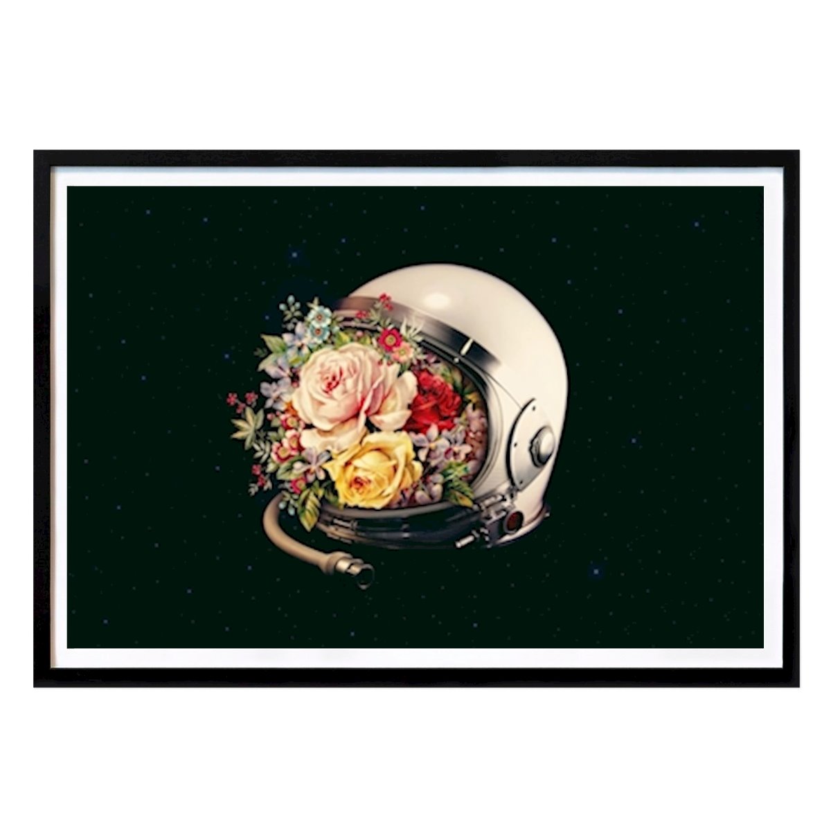 Botanisk Poster: Blommande av Enkel Dika by The Artcircle