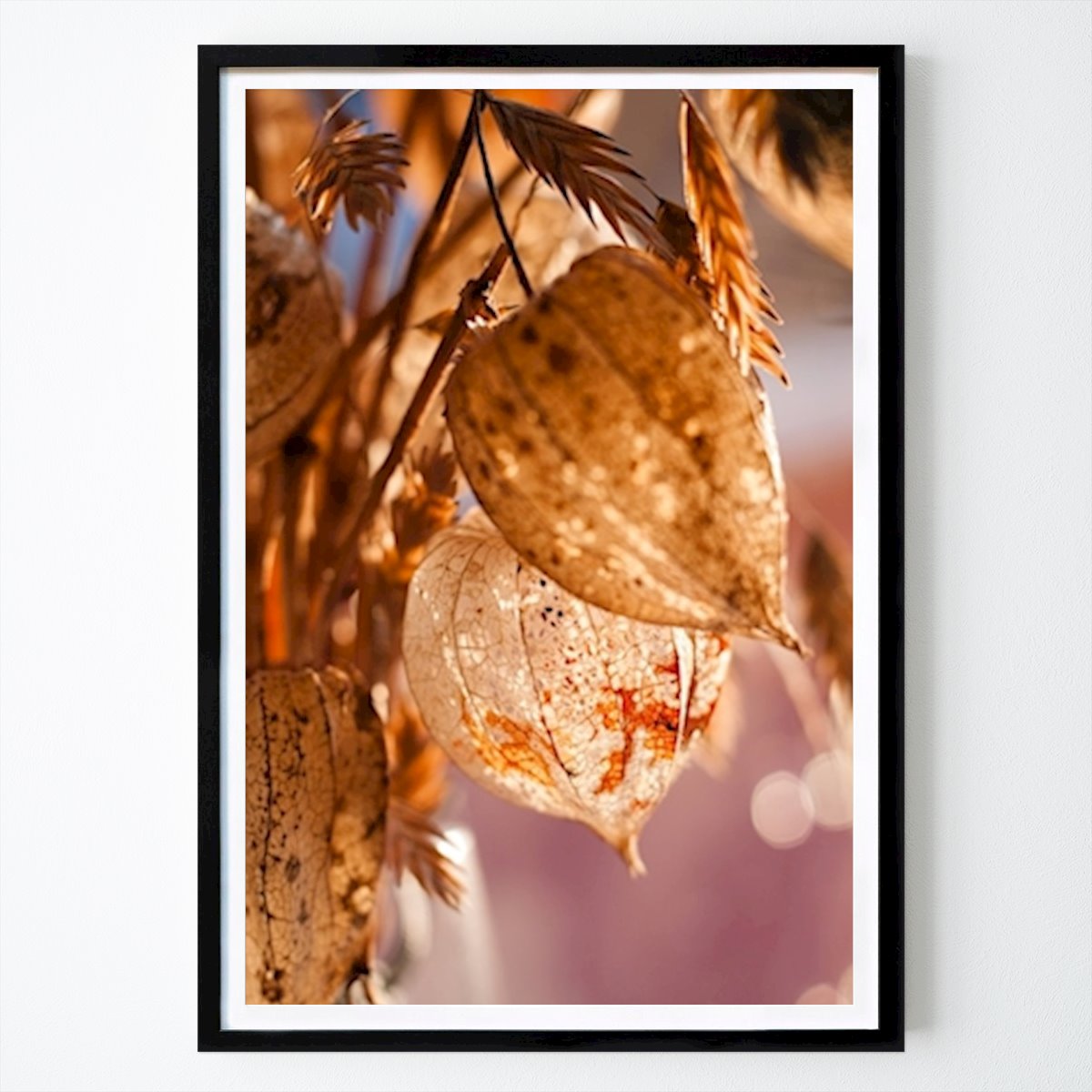 Botanisch Poster: Physalis - Café - Decoratie - Bloem van Jakob Wochner